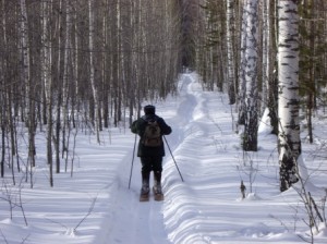 К Петровичу