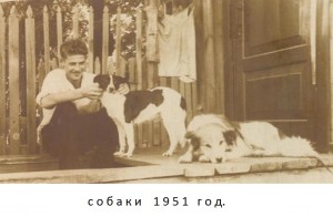 Собаки 1953 - 1 30 Н