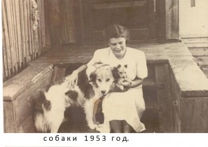 Собаки 1953 - 2 30 Н